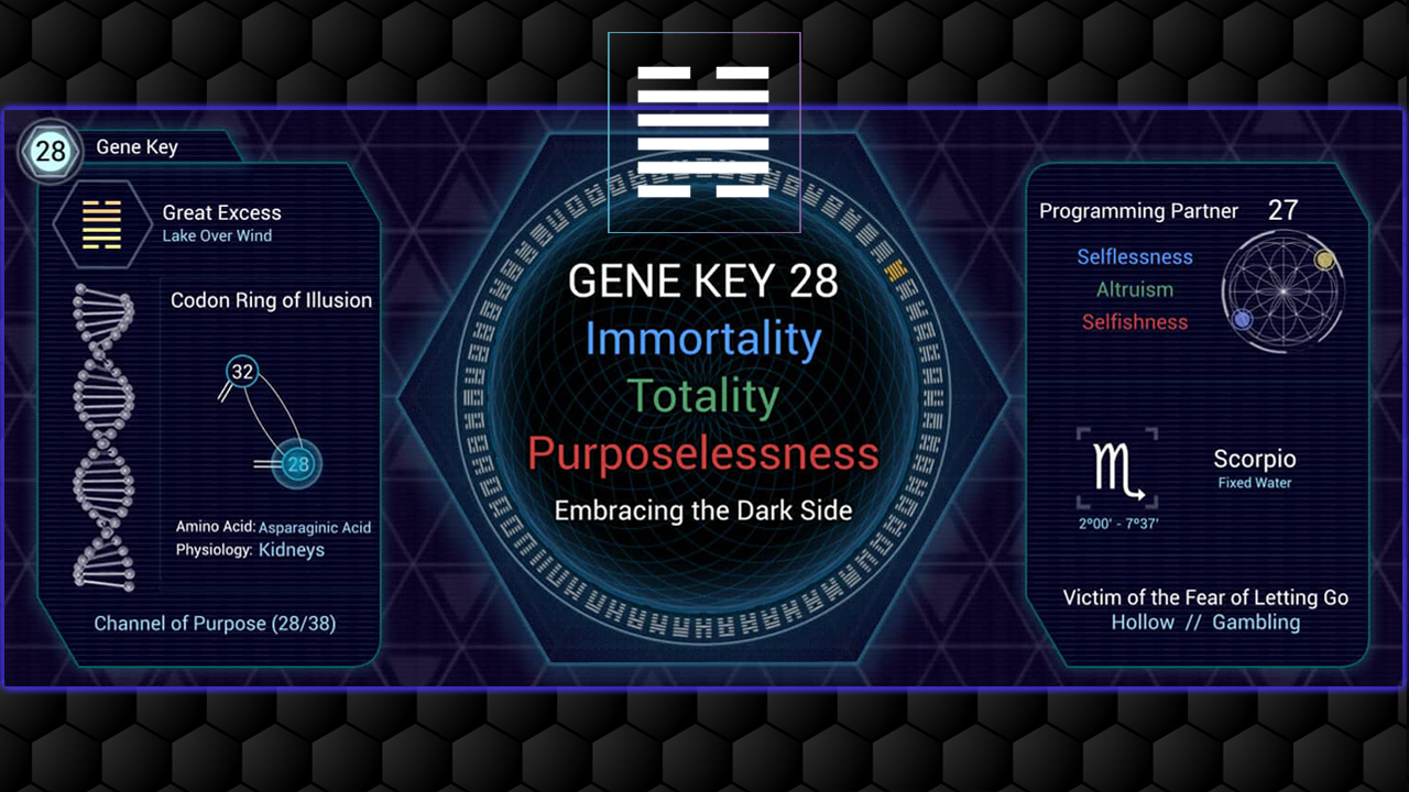 Gene Key 28